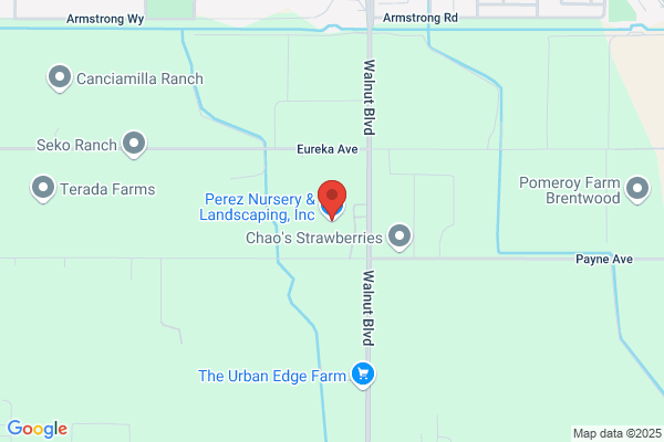 Perez Nursery