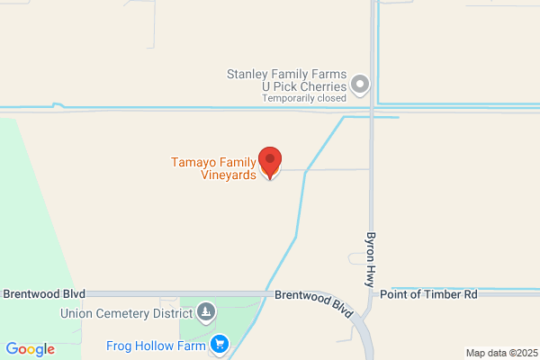 Tamayo Vineyards