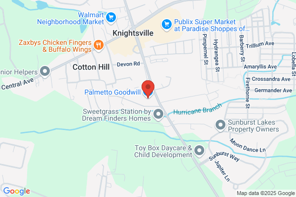 Palmetto Goodwill