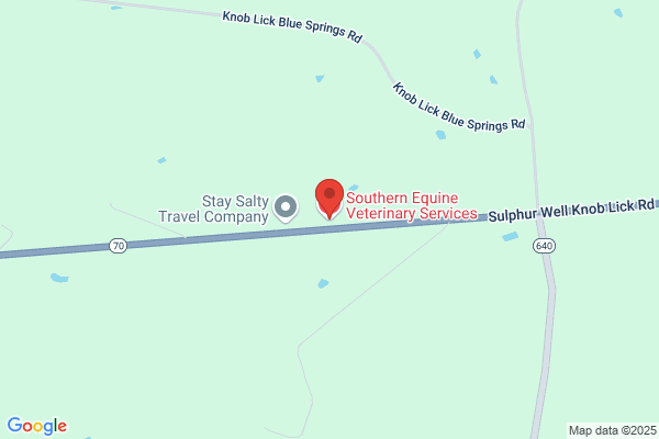 Southern Equine Veterinary Services