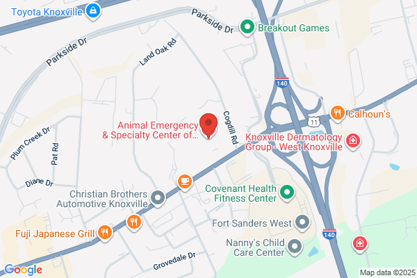 Animal Emergency & Specialty Center of Knoxville