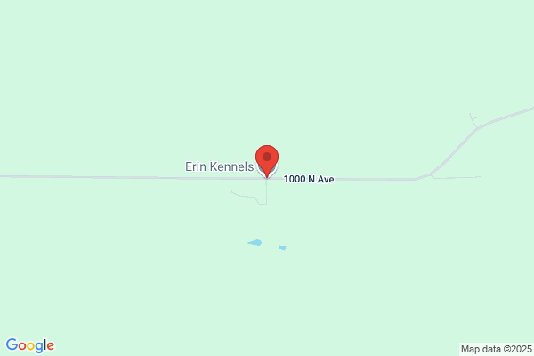 Erin's Kennel Mates