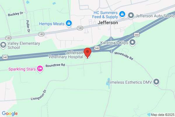 Jefferson Brunswick Veterinary Hospital