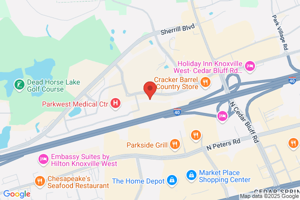 York International