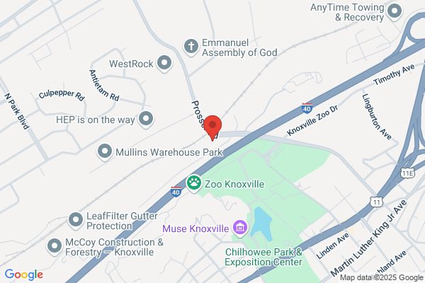 Advance Auto Parts