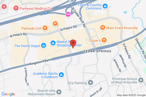 Advance Auto Parts