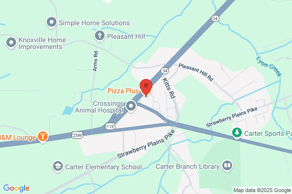 Pizza Plus of Four Way In