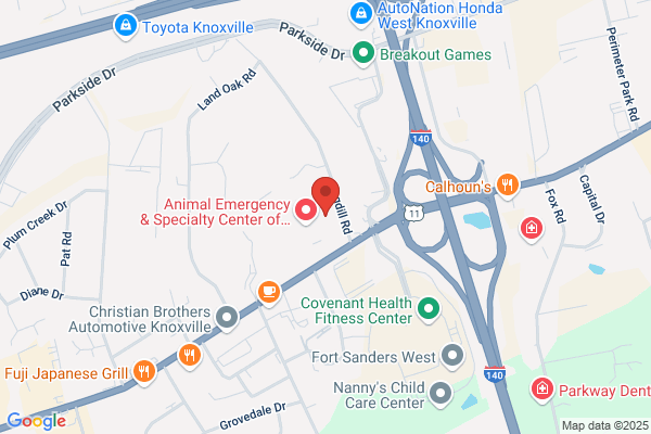 Kimberly Grande, MD, FAAD