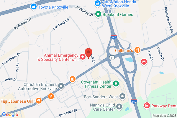 The Skin Wellness Center Knoxville TN