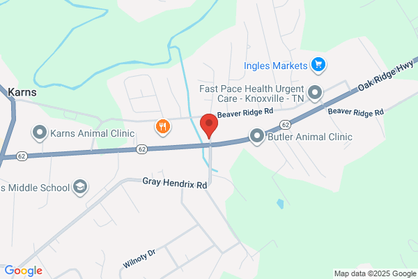 Special Care, Inc