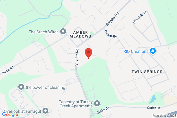 Advanced Tree Service