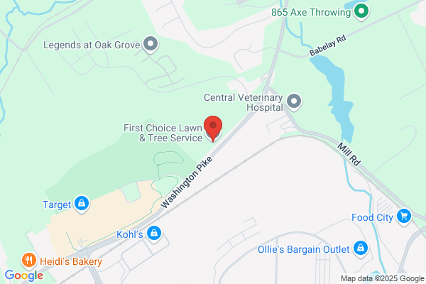 Victree One Tree Service & Stump Grinding