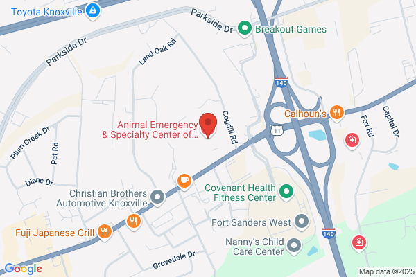 Animal Emergency & Specialty Center of Knoxville