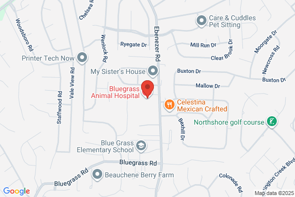 Bluegrass Animal Hospital