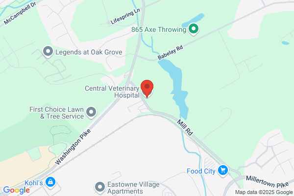 Washington Pike Veterinary Hospital