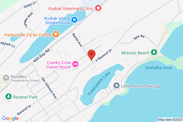 Sea Otter Charters