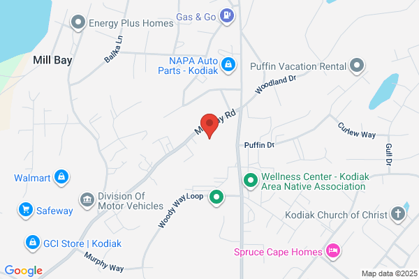Alpha Appliance Repair