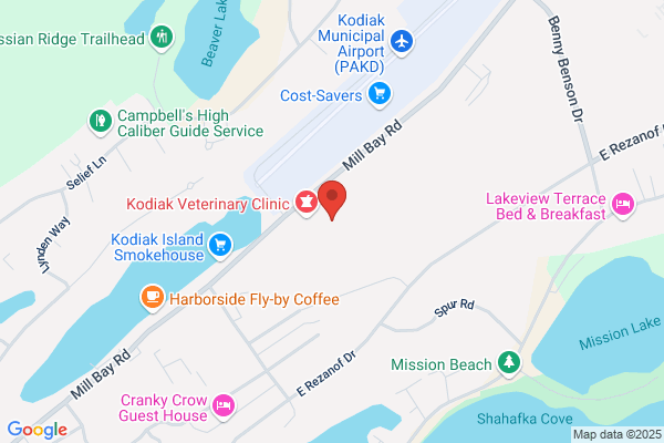 Kodiak Area Transit System