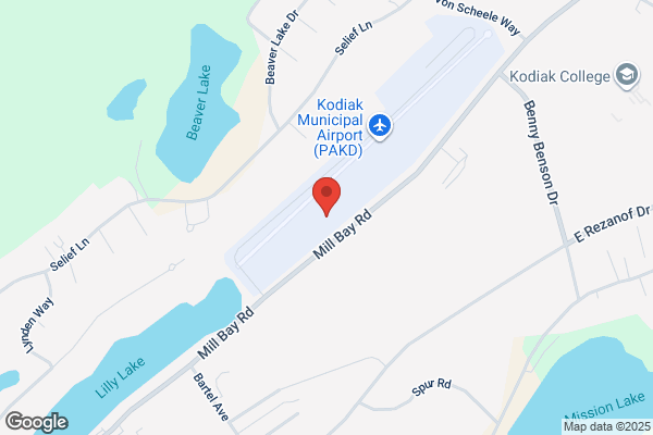 Kodiak Auto Body & Glass