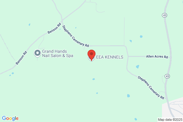 Aquila Kennels Alaskan Malamutes