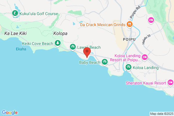 Kuhio Shores Rental