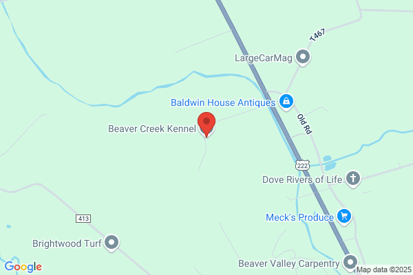 Big Beaver Kennels