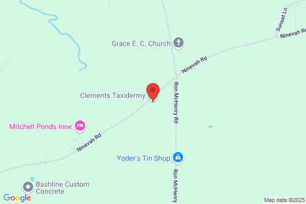 Clements (Clem's) Taxidermy
