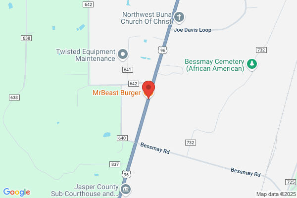 MrBeast Burger