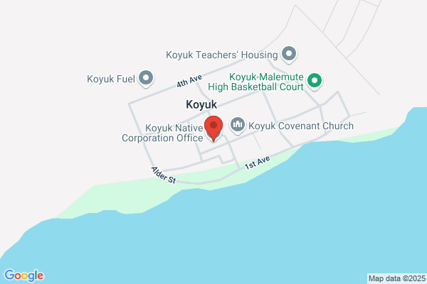 Koyuk Native Store