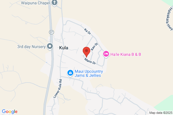 Maui Hunting Outfitters