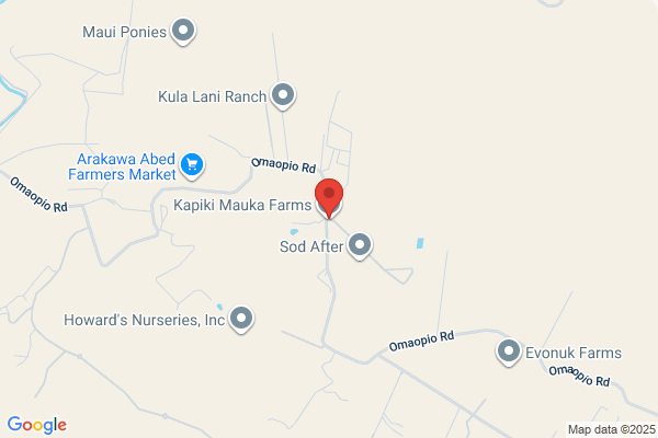 Uradomo M Farms Inc