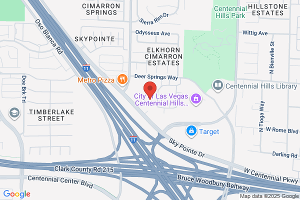 Nevada LLC Services