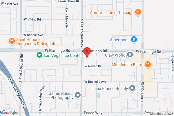 Nevada Computer Supply Inc