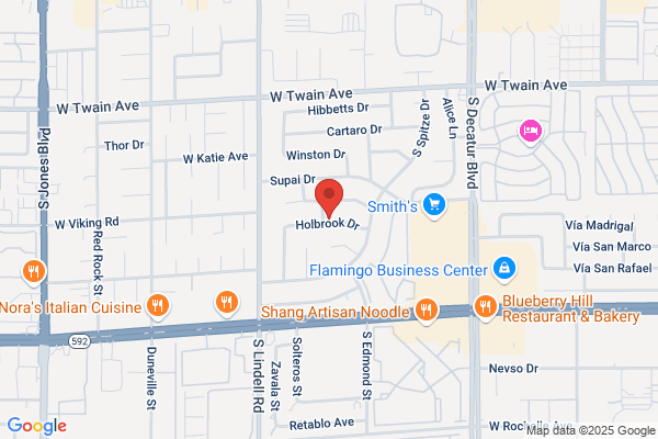 Southern Nevada Courier Service Inc