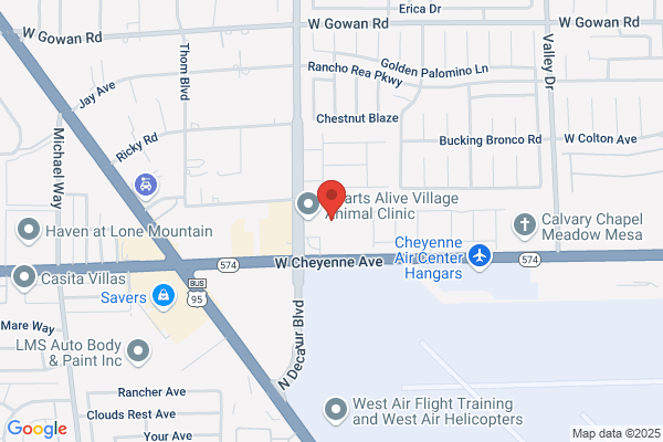 Absolute Dental - Decatur