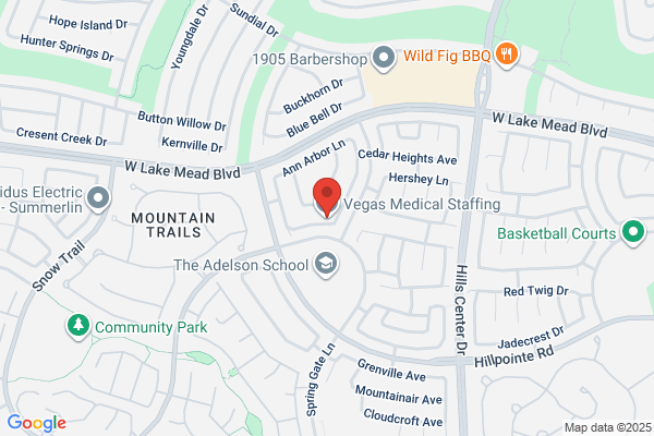 Vegas Medical Staffing