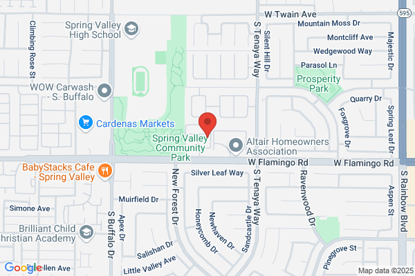 MJ SUMMERLIN HOUSE CLEANING AND YOUR PETS NANNY