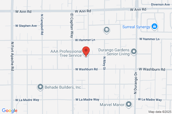 AAA Professional Tree Service