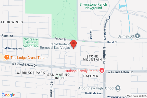 Rapid Rodent Removal Las Vegas LLC