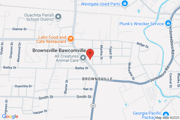 Arena Billiards Bar & Grill