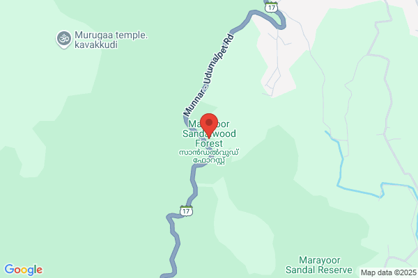 Sandalwood Forest