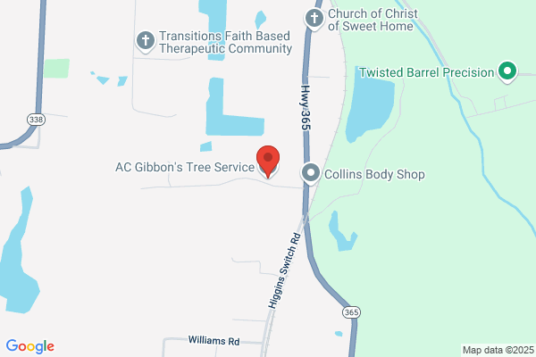 A.C. Gibbons Tree Service