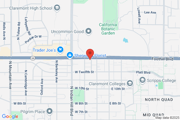 Elizabeth Marz Art Studio