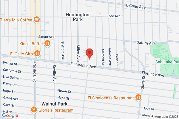 AutoZone Auto Parts