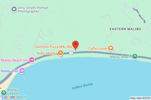 Damores Pizza Connection