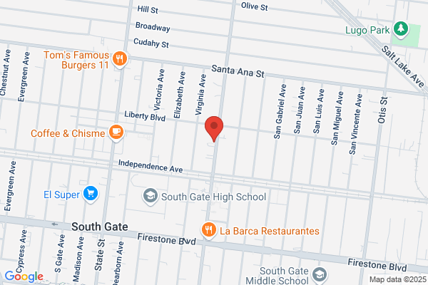 SALVAGEDATA Recovery Services