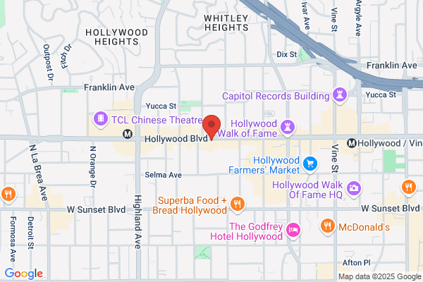 Outfitters Wig of Hollywood