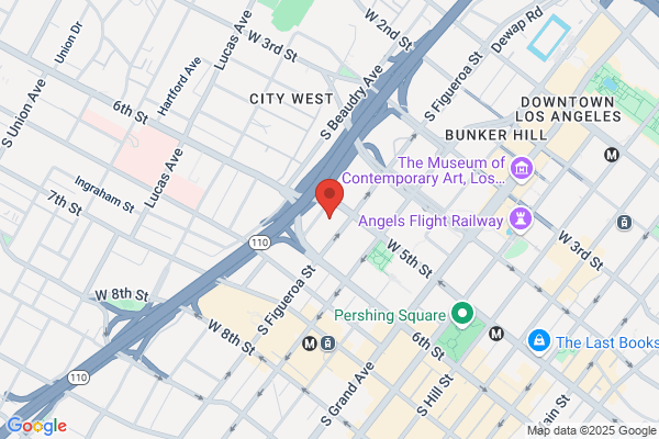 Litigation Services