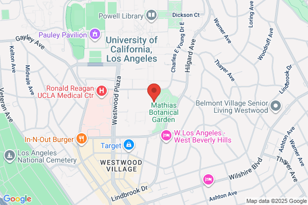 Tara L. Aghaloo, MD, DDS