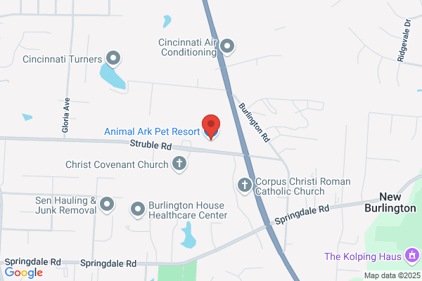 Animal Ark Pet Spa